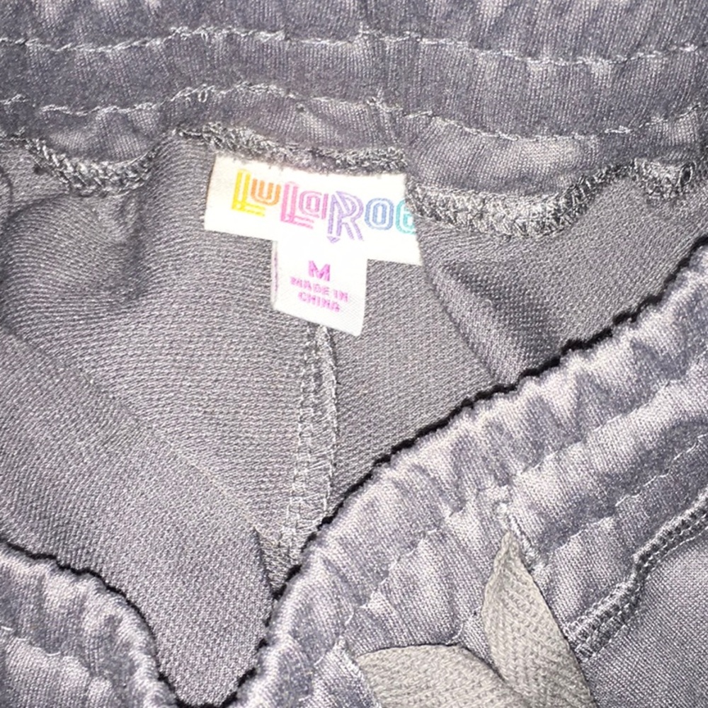 Lularoe Jax Jogger Pants, Solid Gray, Size Medium - image 2